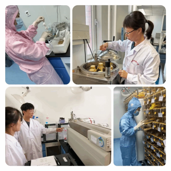 国庆我在岗！沈阳药科大学校园里的每一份坚守都闪光